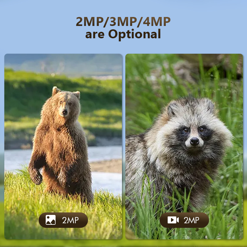 4G 4MP açık yaban hayatı avcıl - Trail Camera Infrared incelemesi ve fiyatı