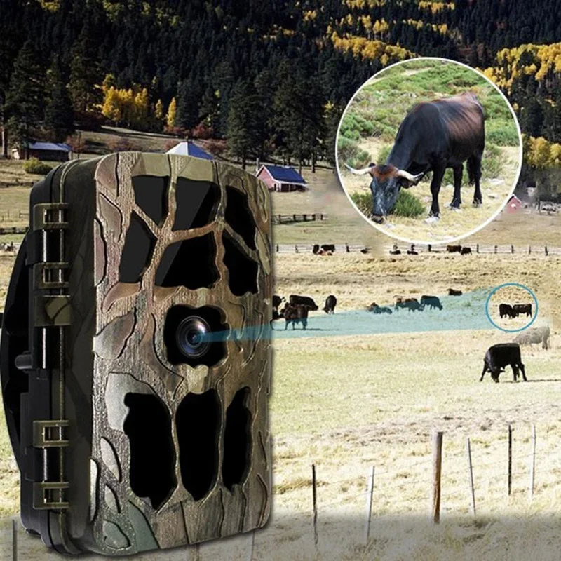 H982 IP66 su geçirmez 4K açık  - Trail Camera Infrared incelemesi ve fiyatı