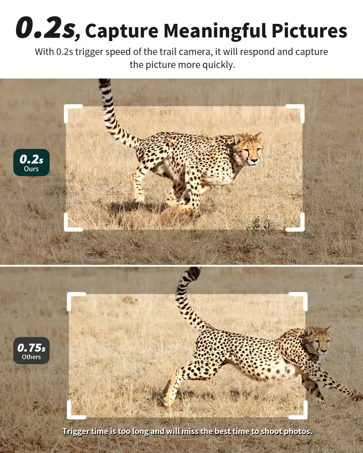 3. Nesil 4G LTE Hücresel Foto  - Trail Camera Infrared incelemesi ve fiyatı